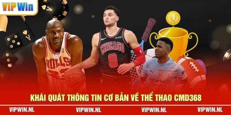 Khái quát thông tin cơ bản về Thể Thao CMD368 